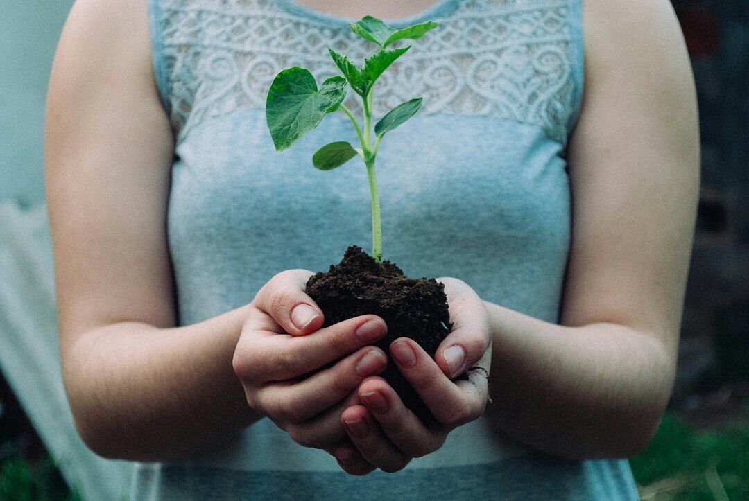 person investing in self growth