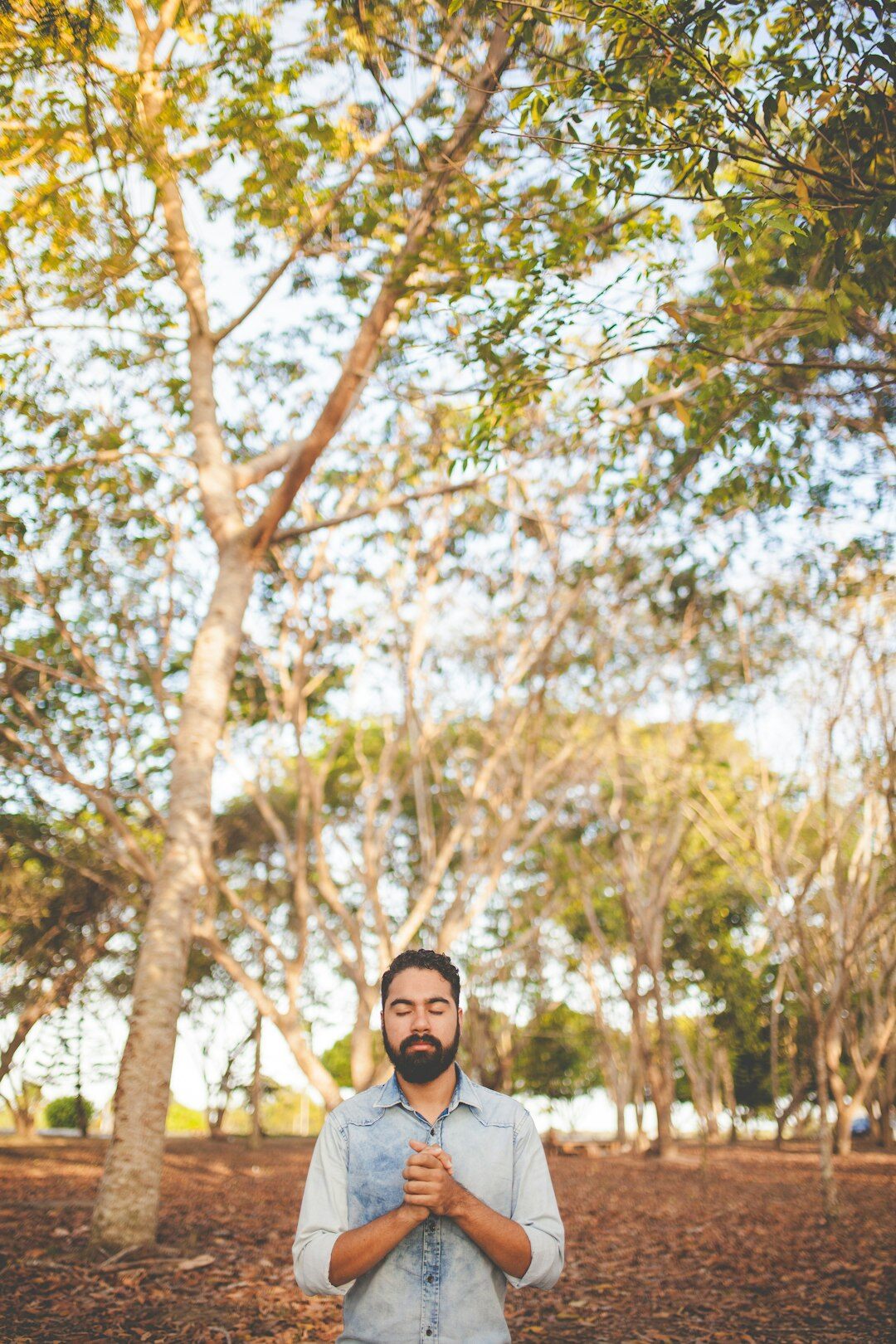 Homem brasileiro com barba em foto profissional